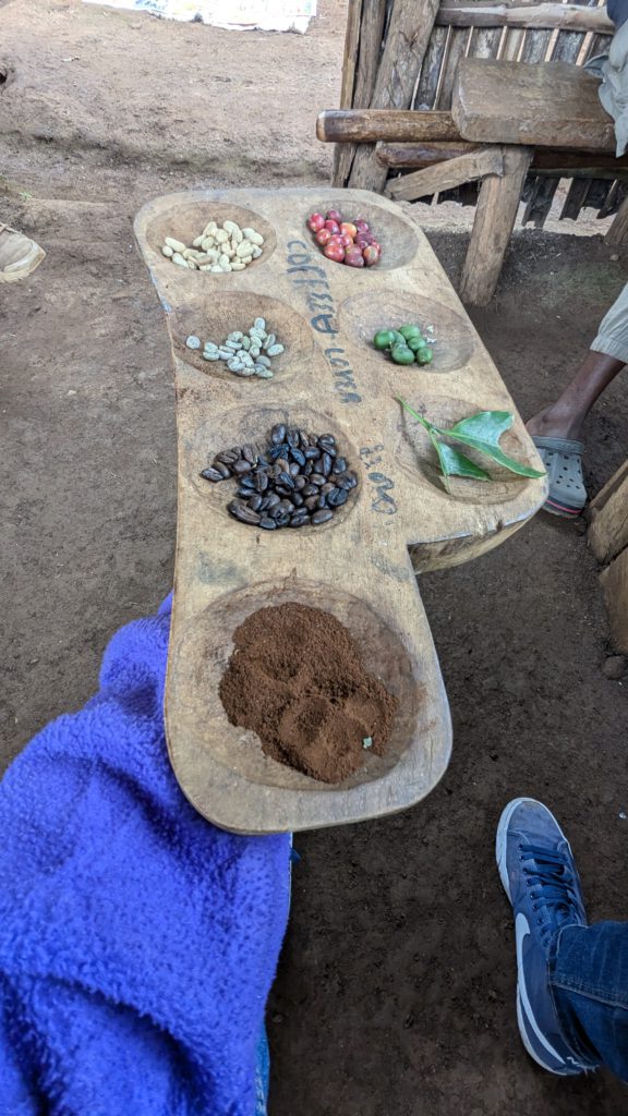 MATERUNI COFFEE TOUR