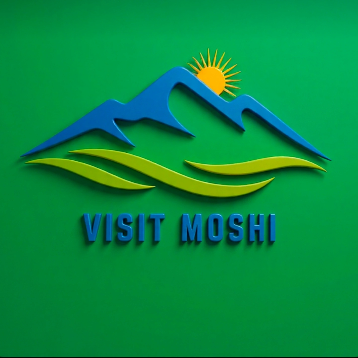 www.visitmoshi.com